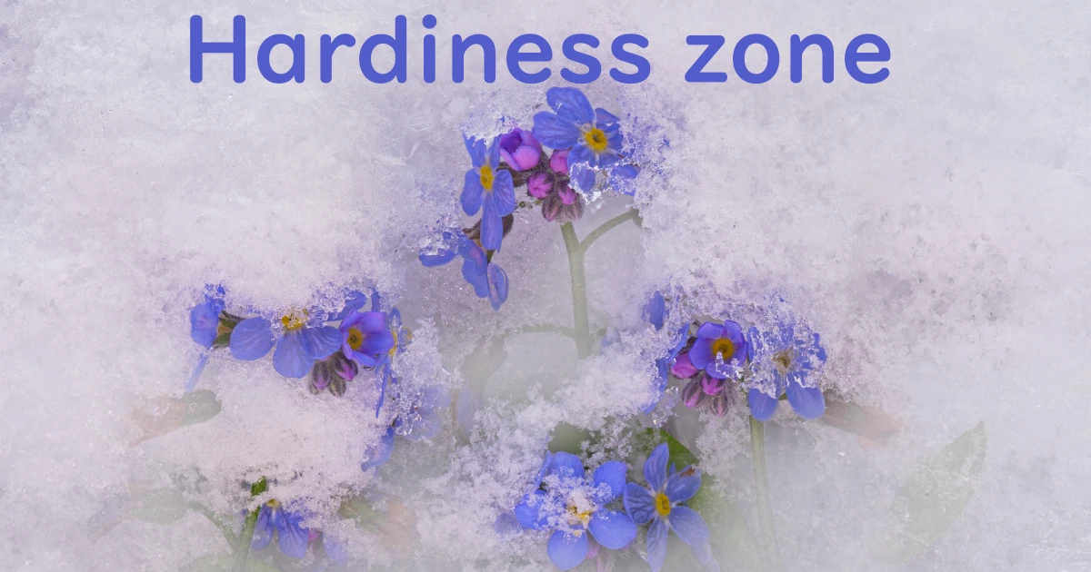 Hardiness-zone_1-Feat