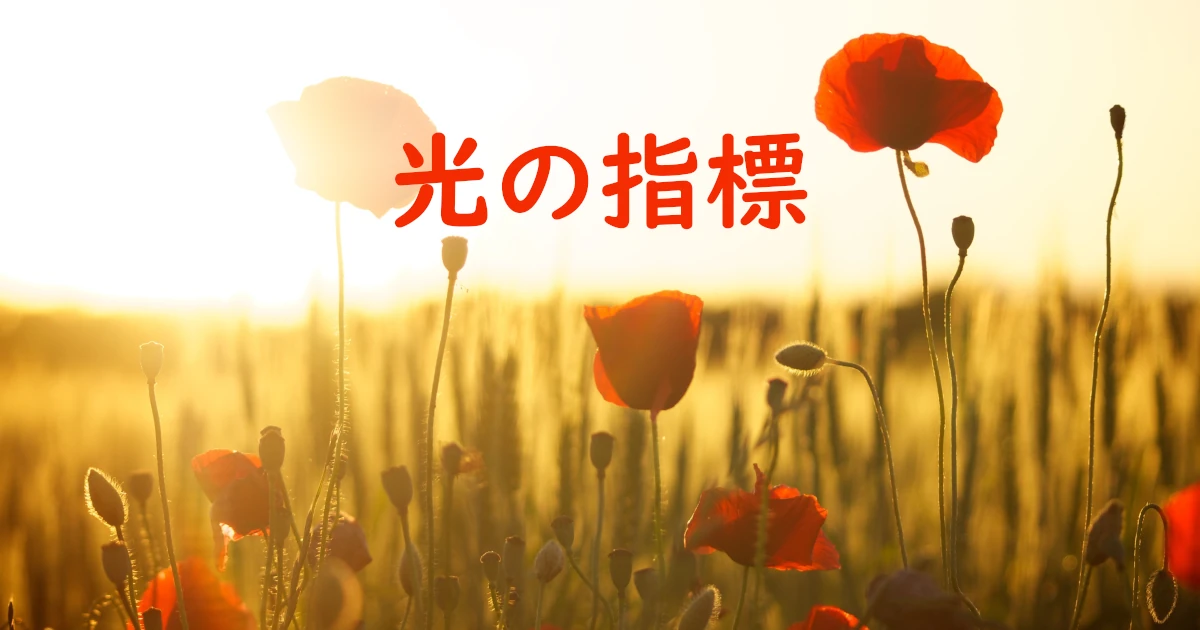 Index-of-light_1-Feat