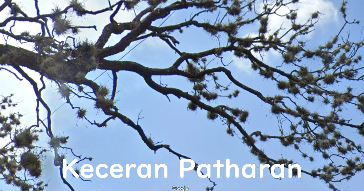 Tillandsia-keceran_Map2-Featured